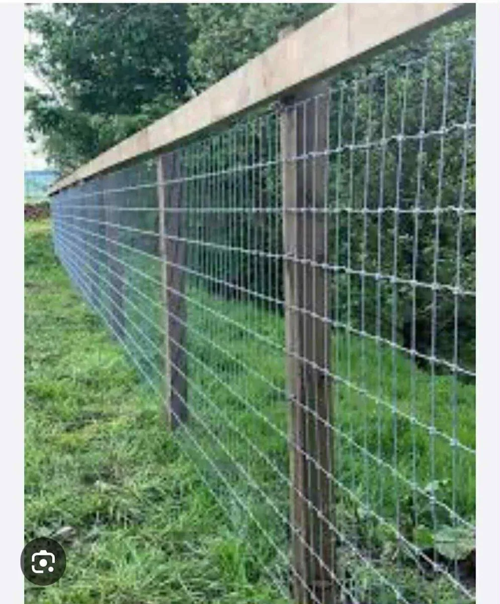 Sheep wire - Image 4