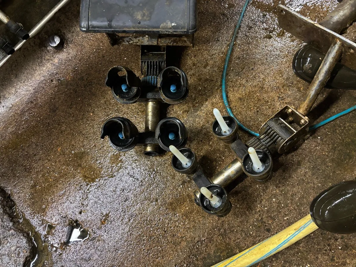 Dairy master feeders low line wash - Image 2