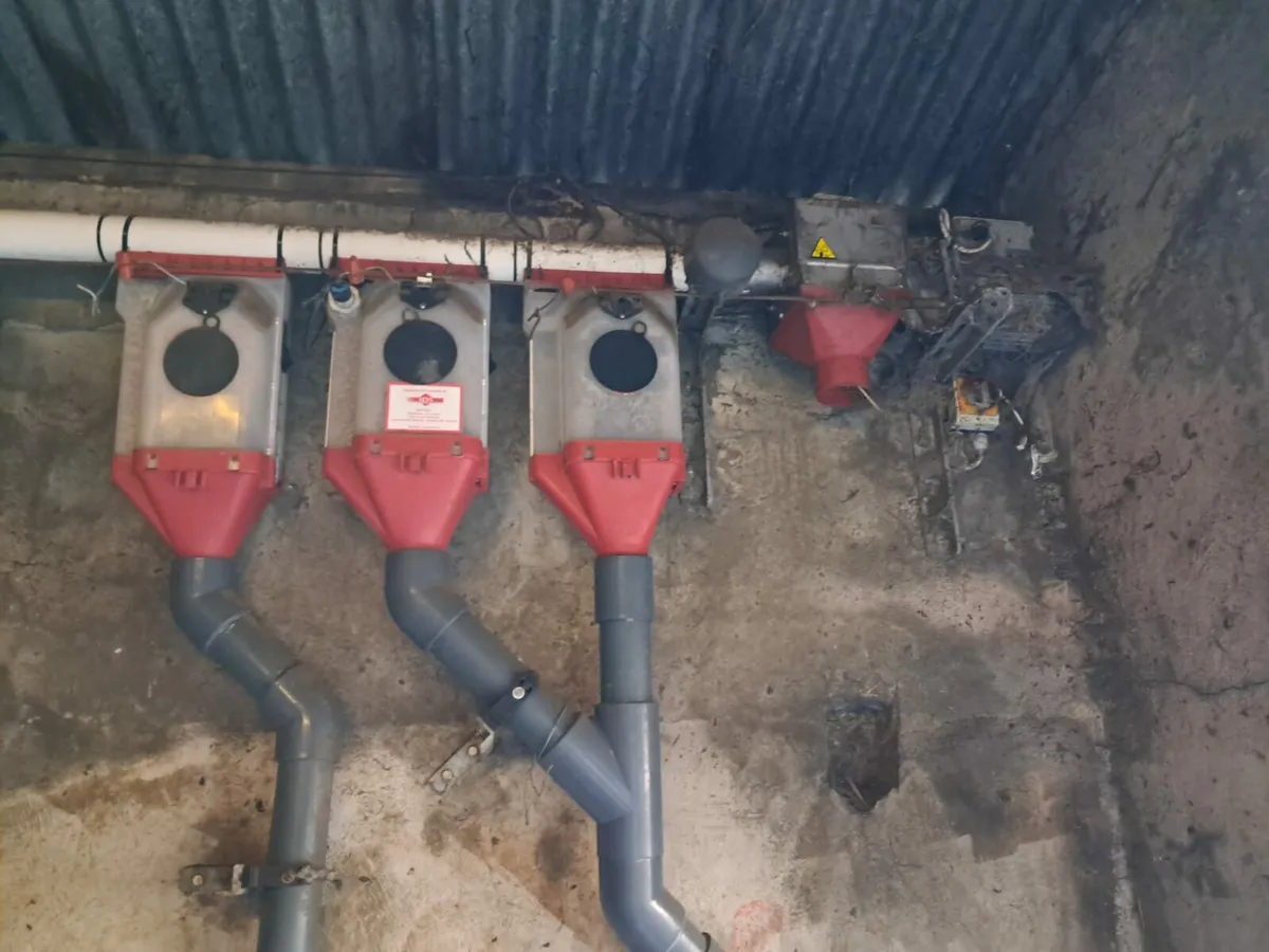 IDS batch feeding for milking parlour - Image 4