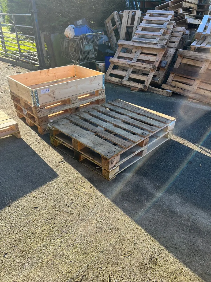 Pallets & Pallet Collars - Image 1