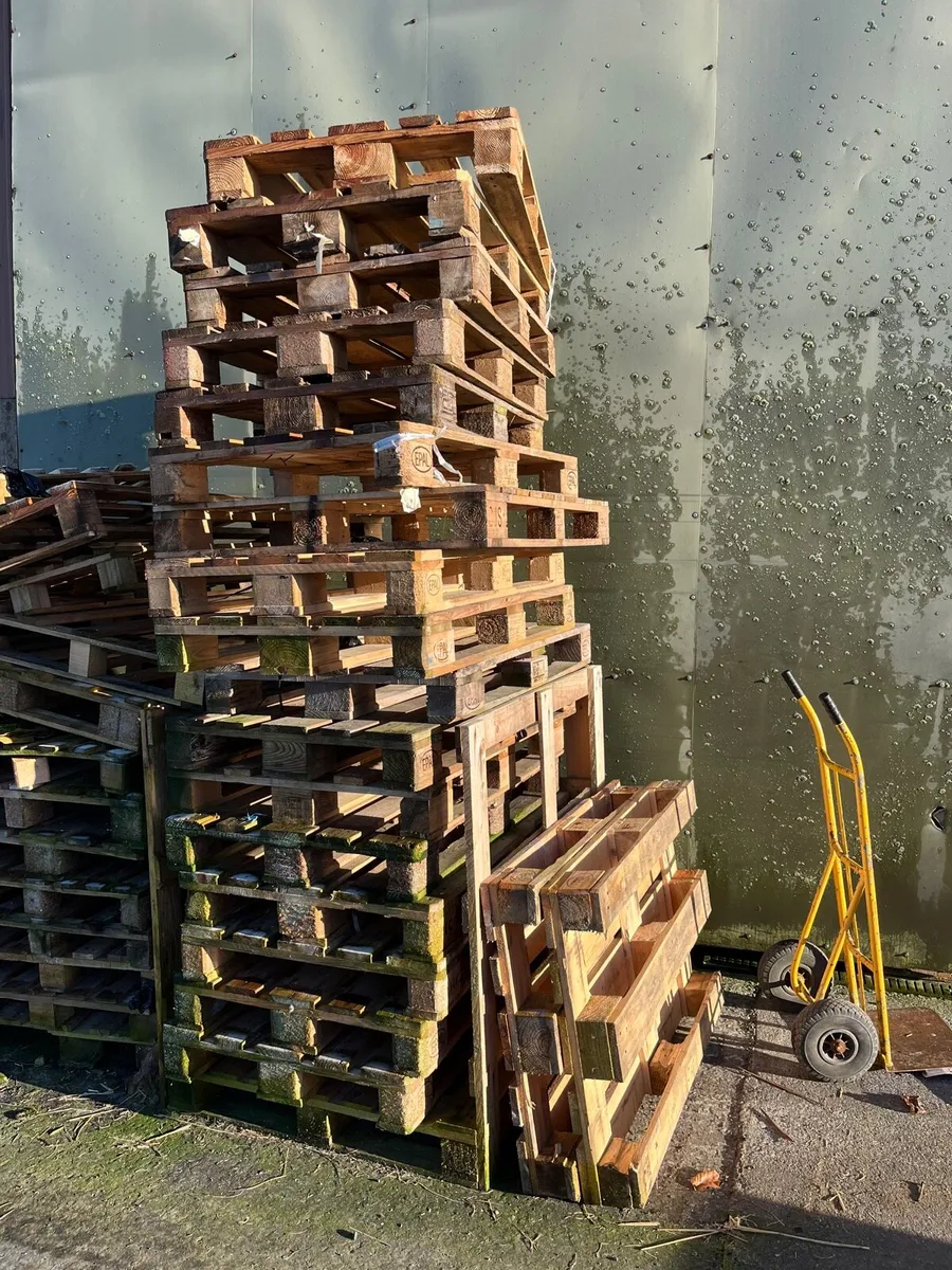 Pallets & Pallet Collars - Image 3