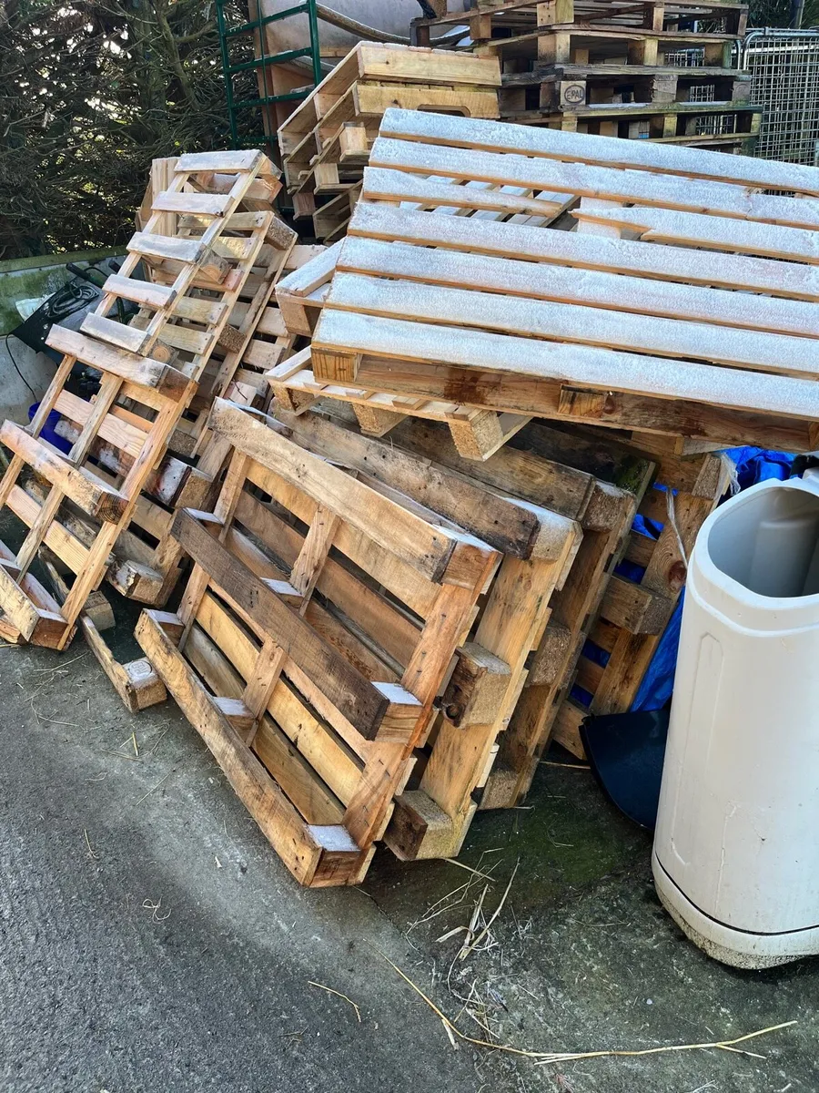 Pallets & Pallet Collars - Image 4