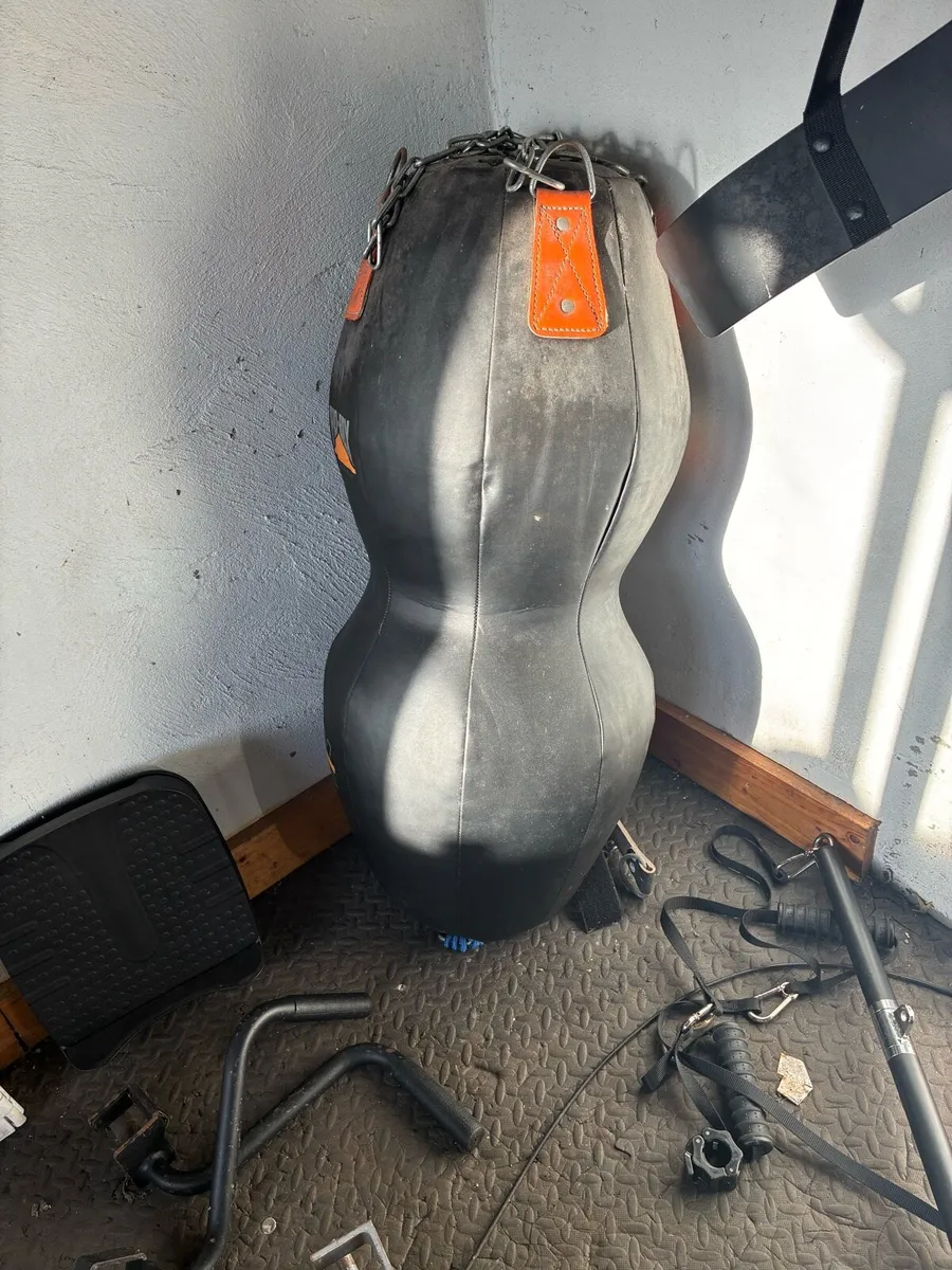 Cable pulley machine & punch bag - Image 2