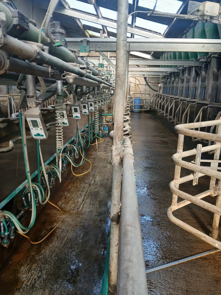 Milking parlour - Image 4