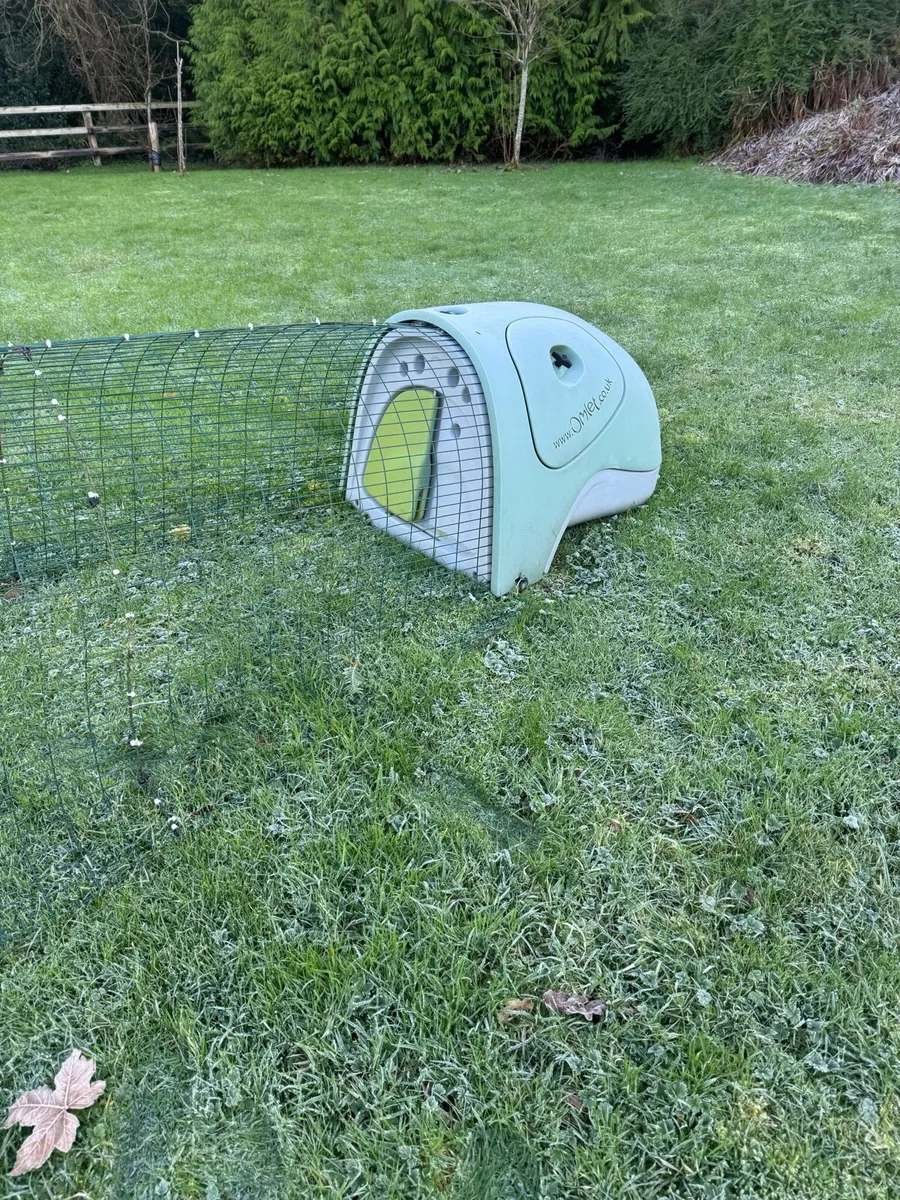 Eglu Chicken Coop - Image 2