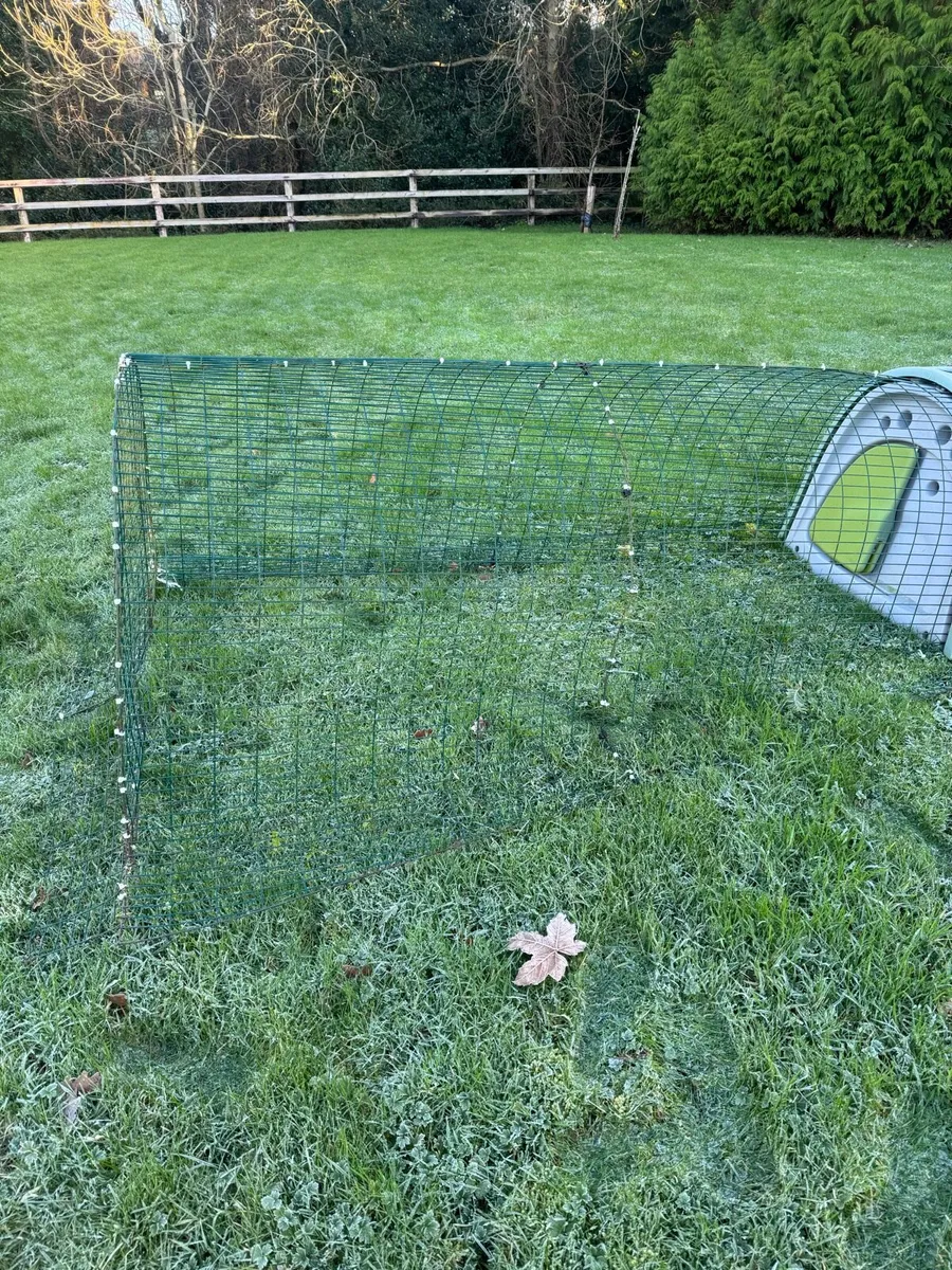 Eglu Chicken Coop - Image 4