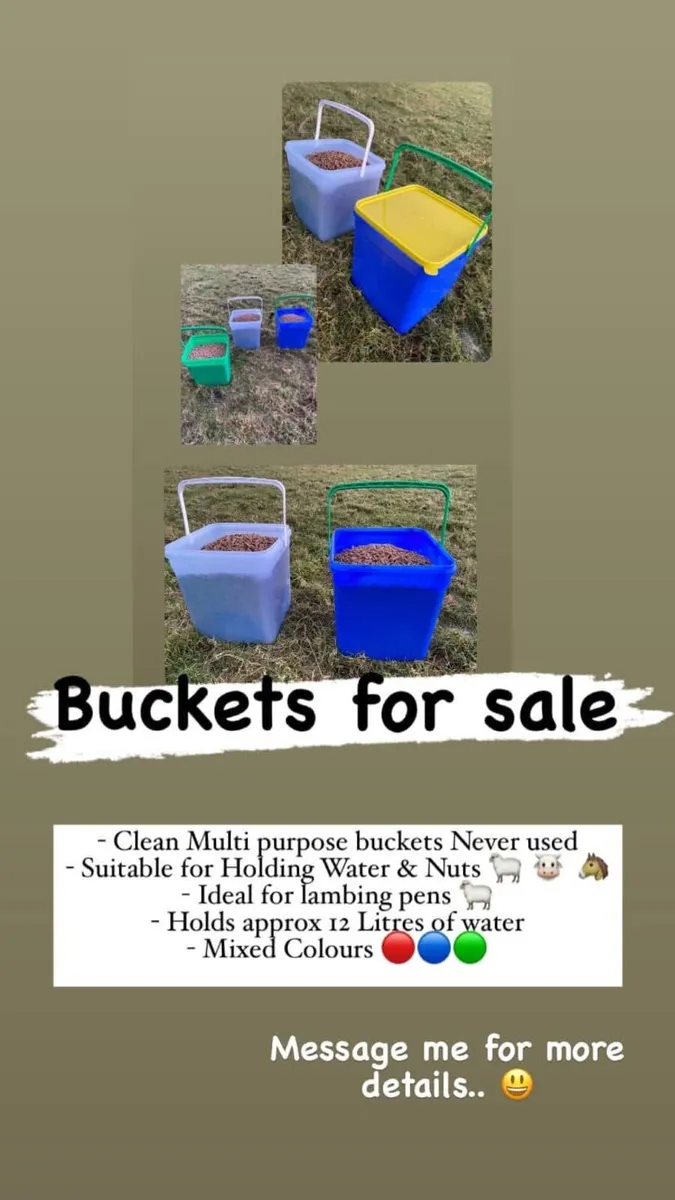 Lambing pen/ multipurpose buckets - Image 1