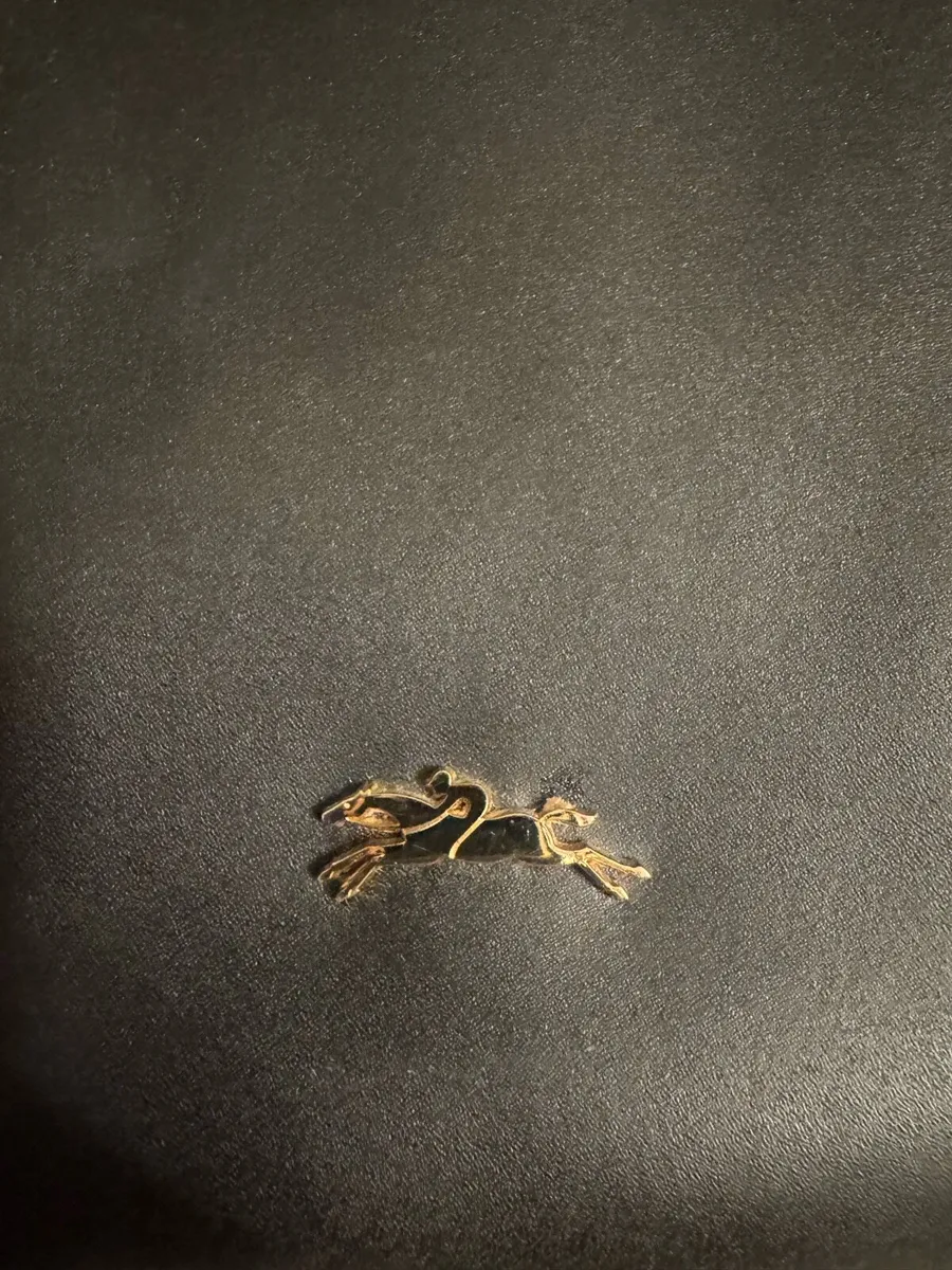 Longchamp bag - Image 2