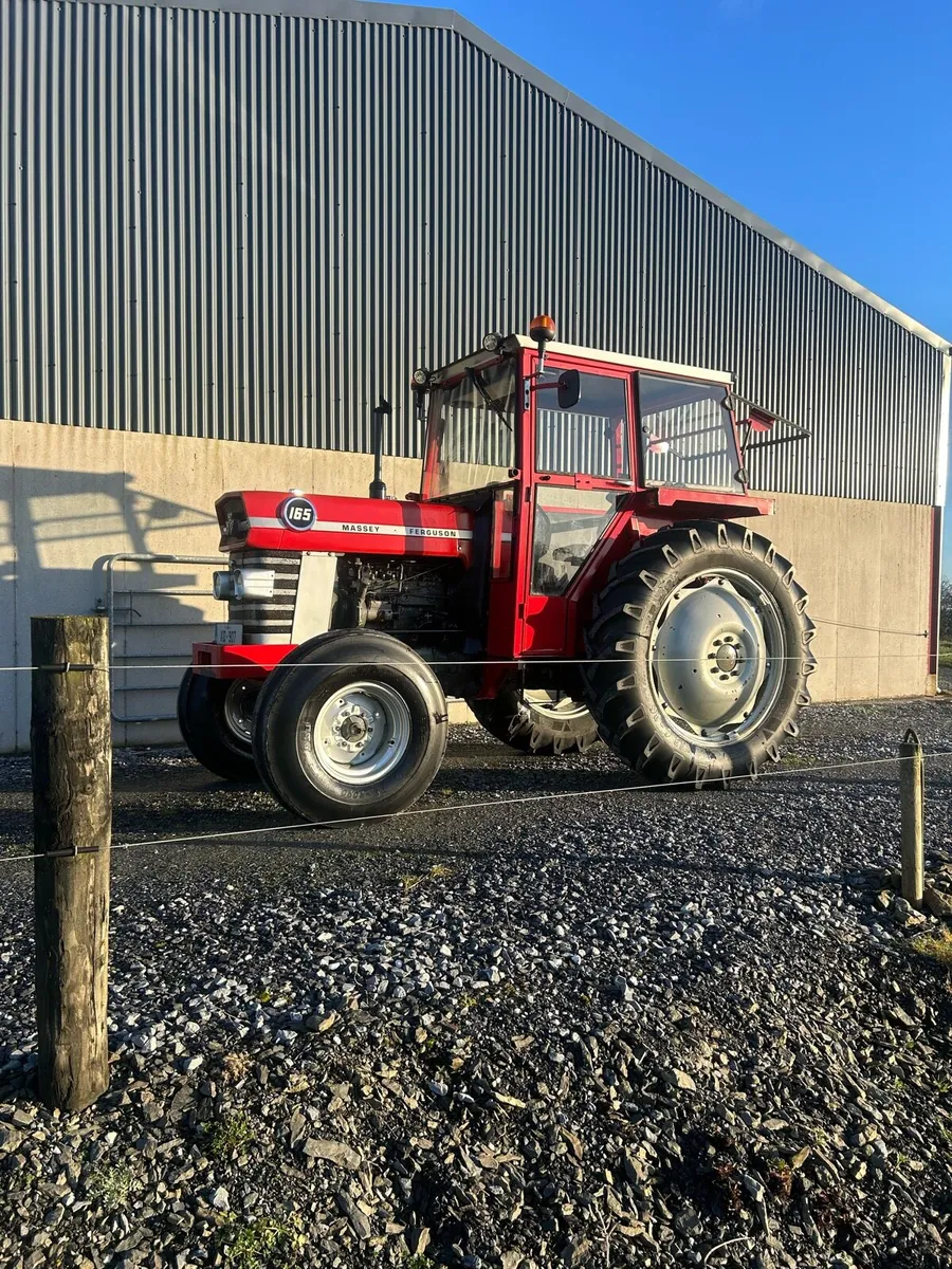 Massey Ferguson 165 - Image 2