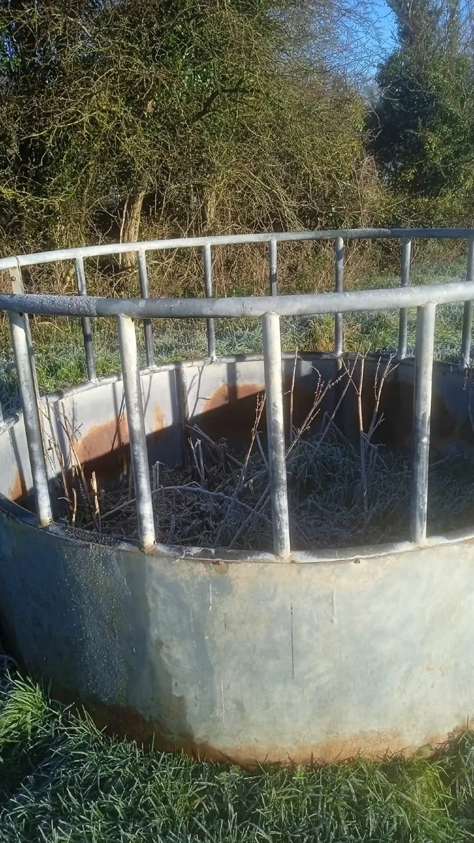Round bales of silage - Image 4