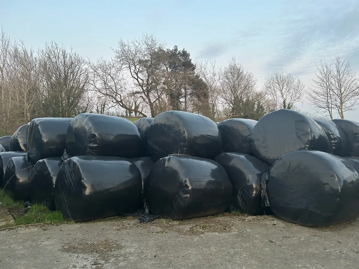 Silage Bales - Image 2