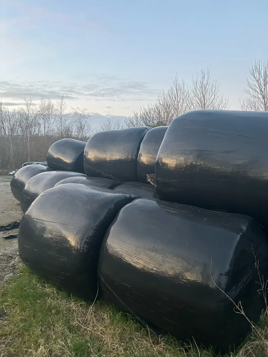 Silage Bales - Image 1