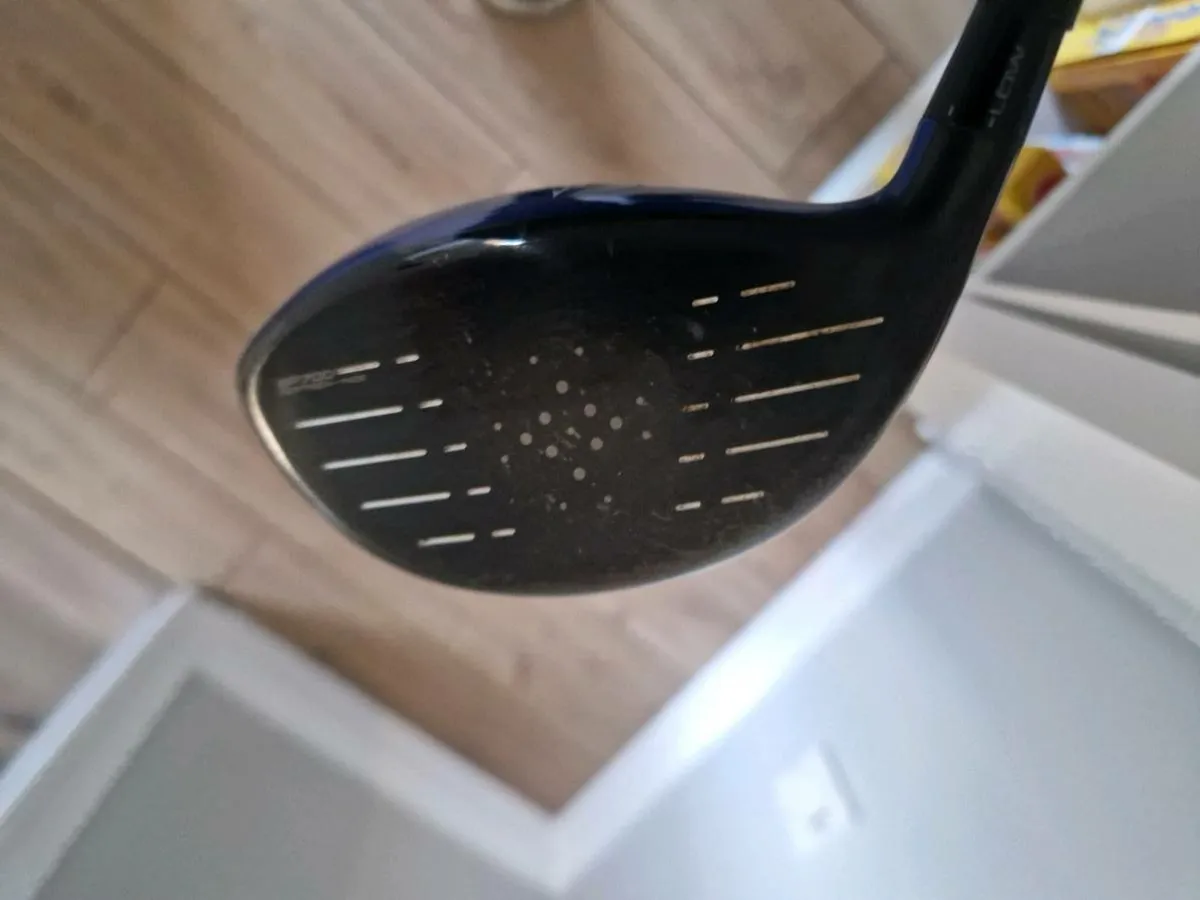 Mizuno Driver - Image 4