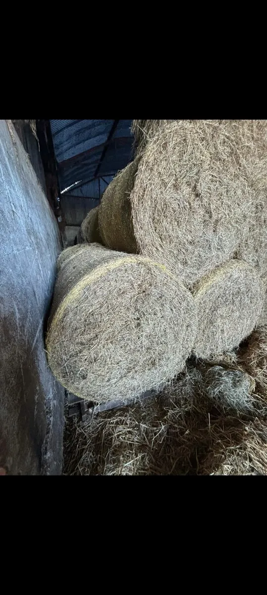 Round Hay Bales - Image 1