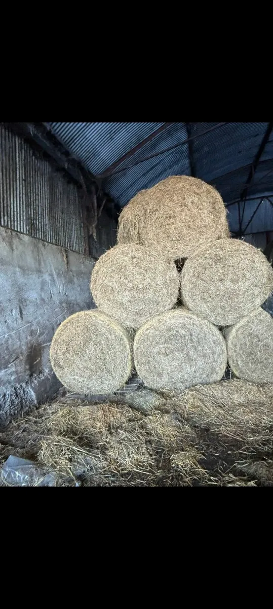 Round Hay Bales - Image 2