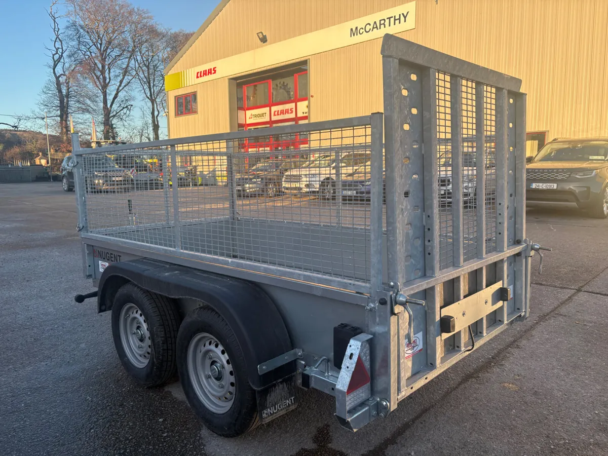 Nugent 8 x 4 - Image 3