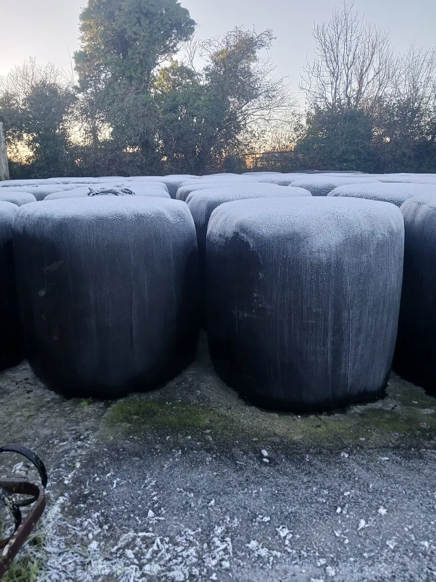 Silage bales