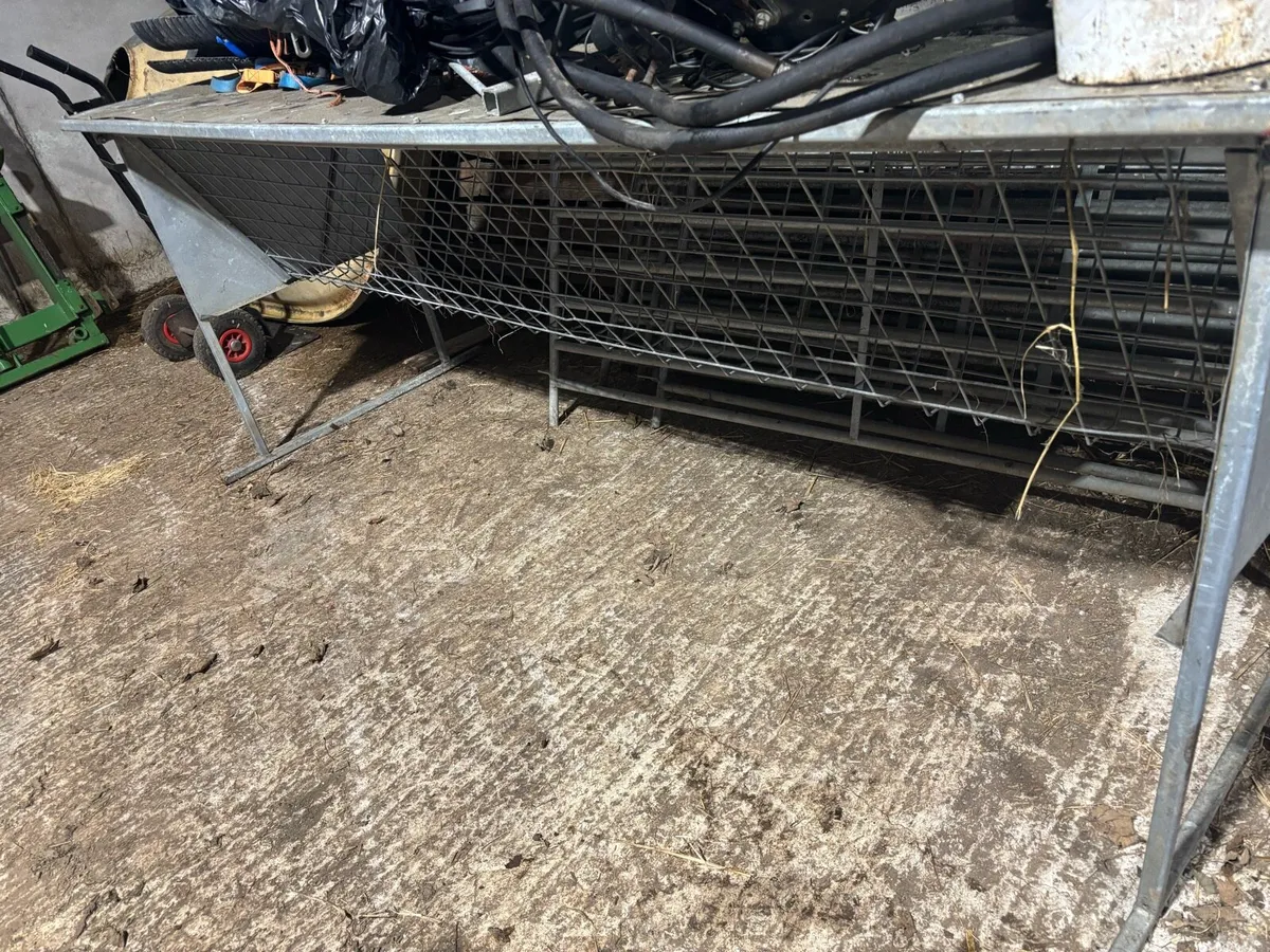 Lamb creep feeder & hay rack - Image 4