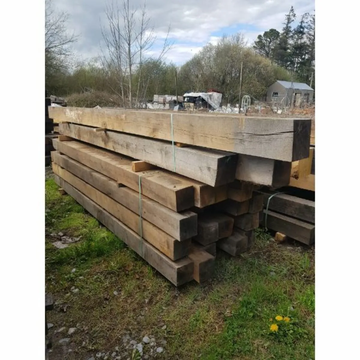 Oak Beams – Raw State - Image 1