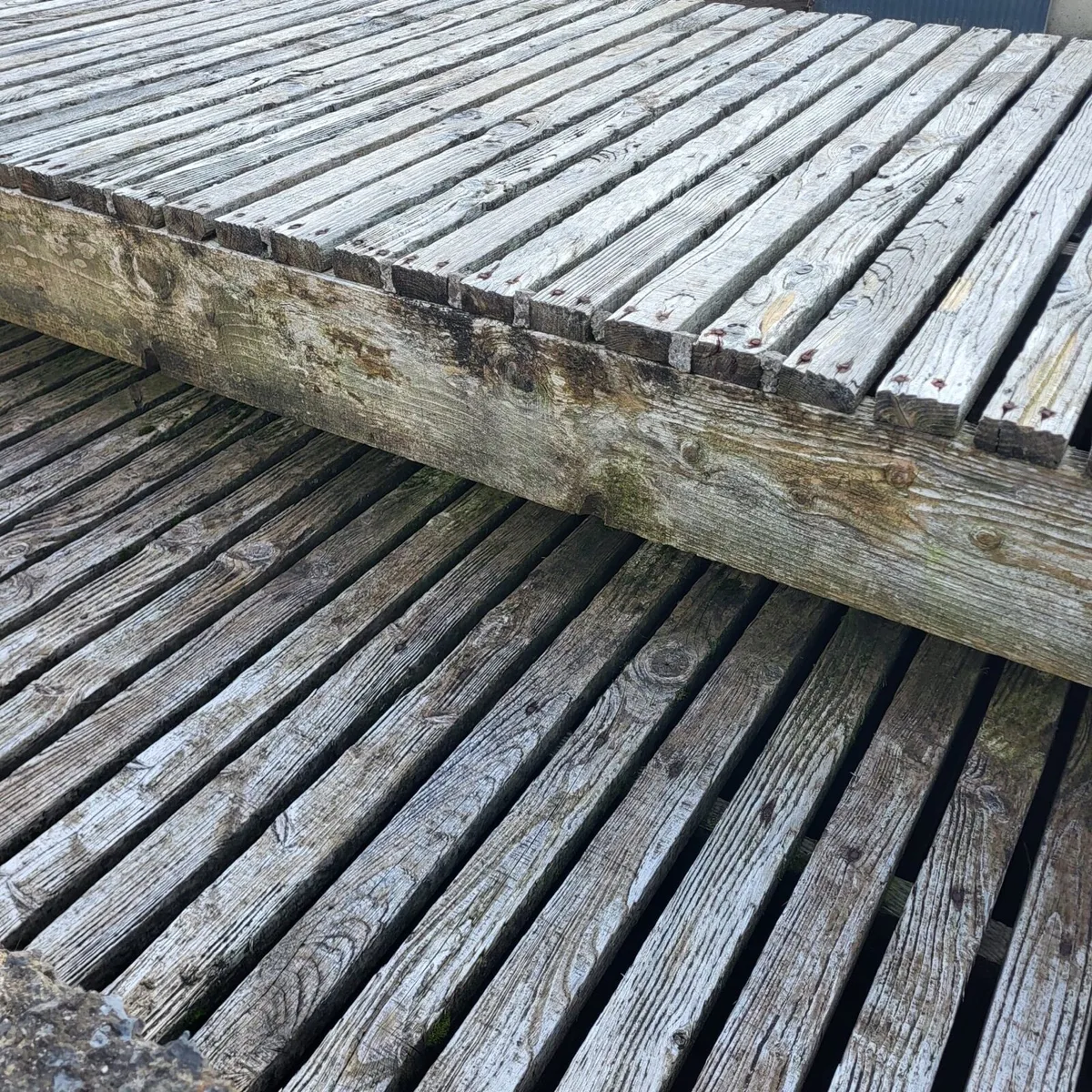 Calf/Sheep Timber Slats - Image 2
