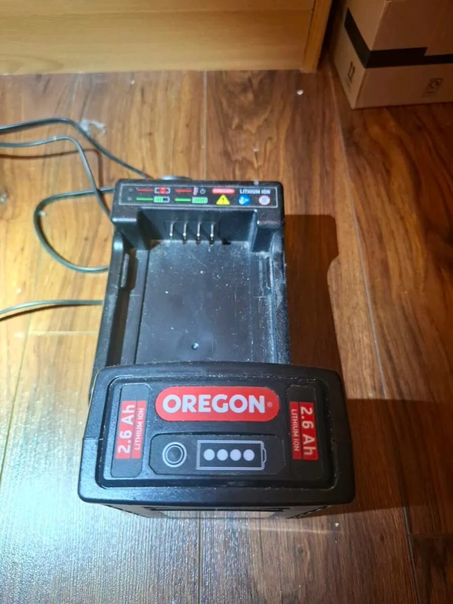 Oregon Chainsaw Battery and Charger - Image 1