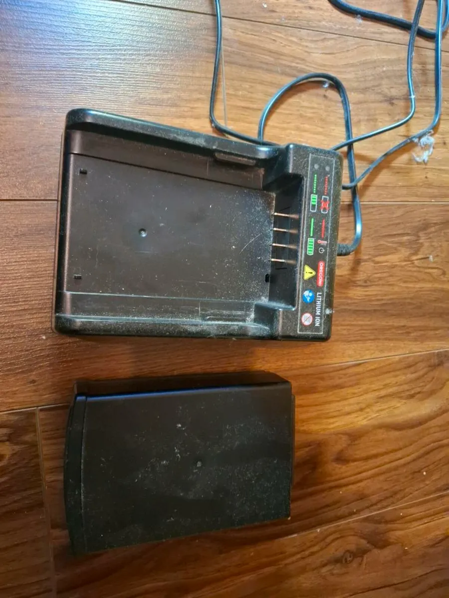 Oregon Chainsaw Battery and Charger - Image 2