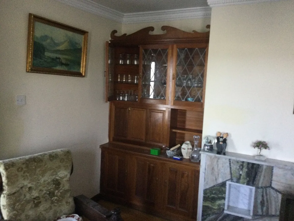 Connemara Marble Fire Place and Mahogny Units - Image 2