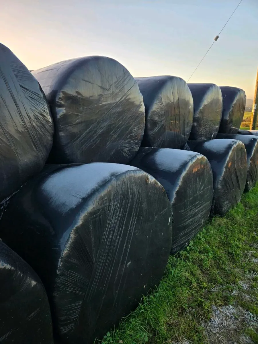 Haylage bales - Image 1