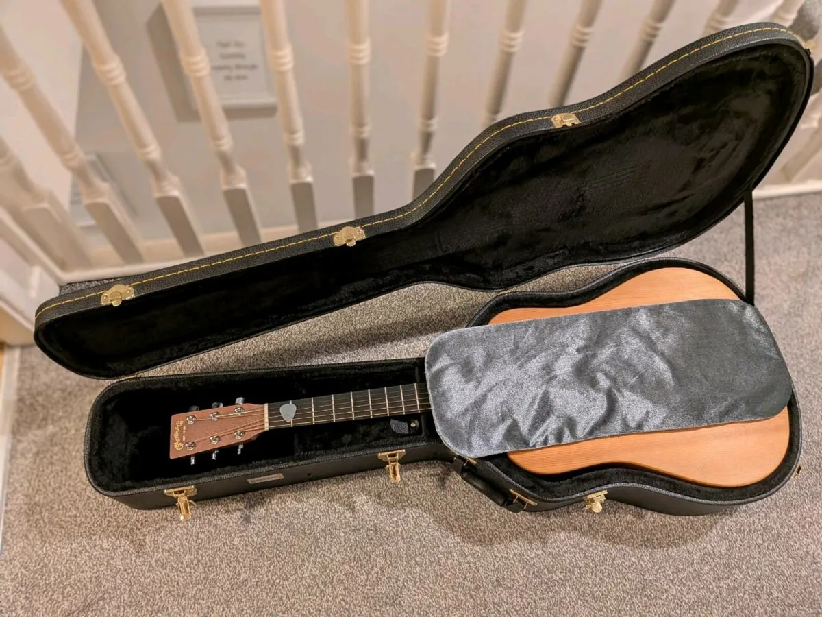 Kinsman Guitar Case - Image 4