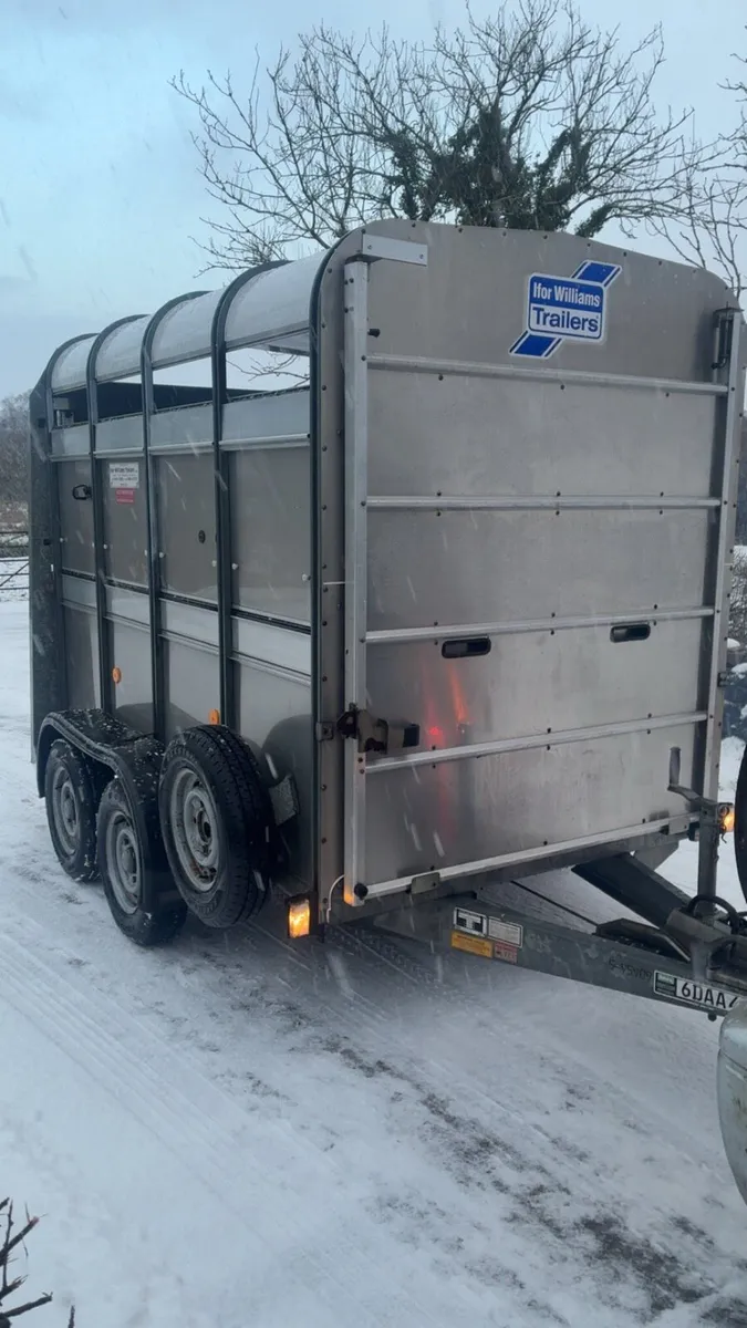 Ifor Williams cattle / pony trailer - Image 1