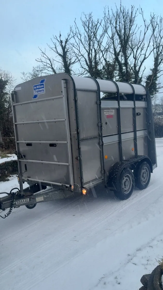 Ifor Williams cattle / pony trailer - Image 2