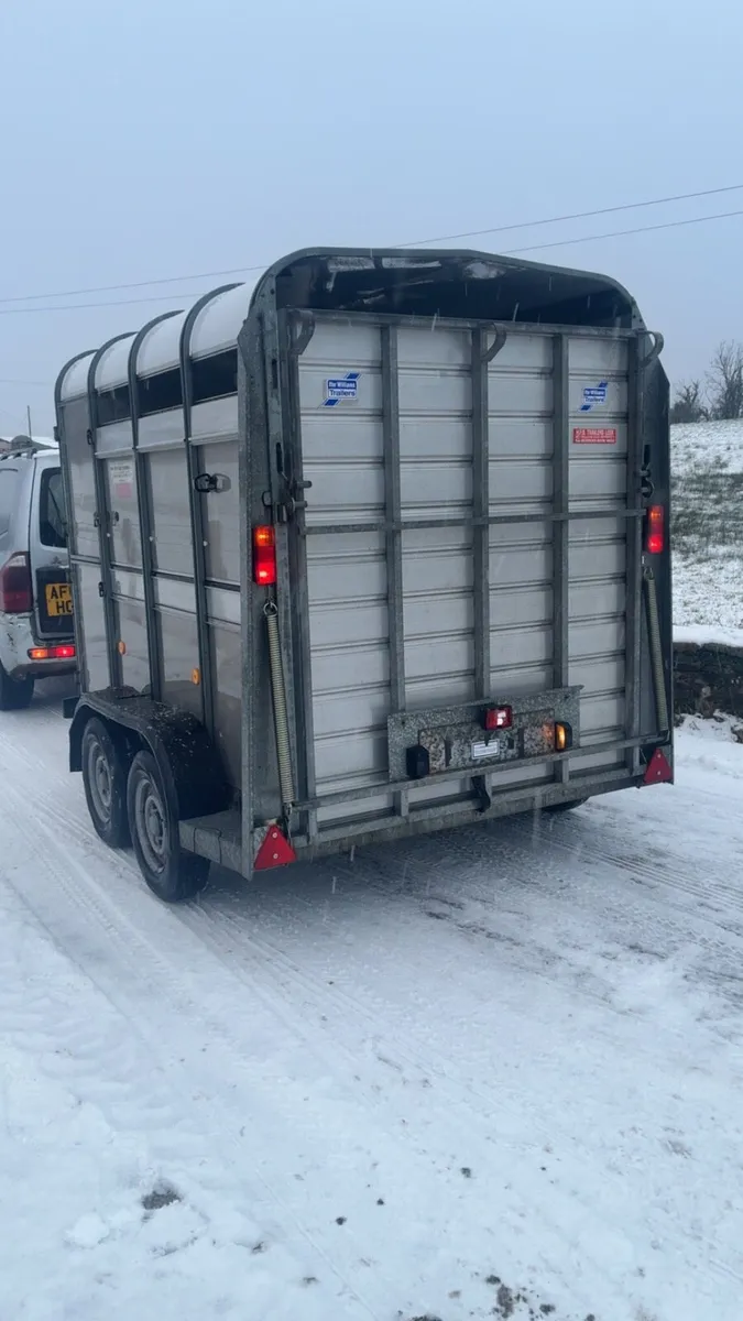 Ifor Williams cattle / pony trailer - Image 3