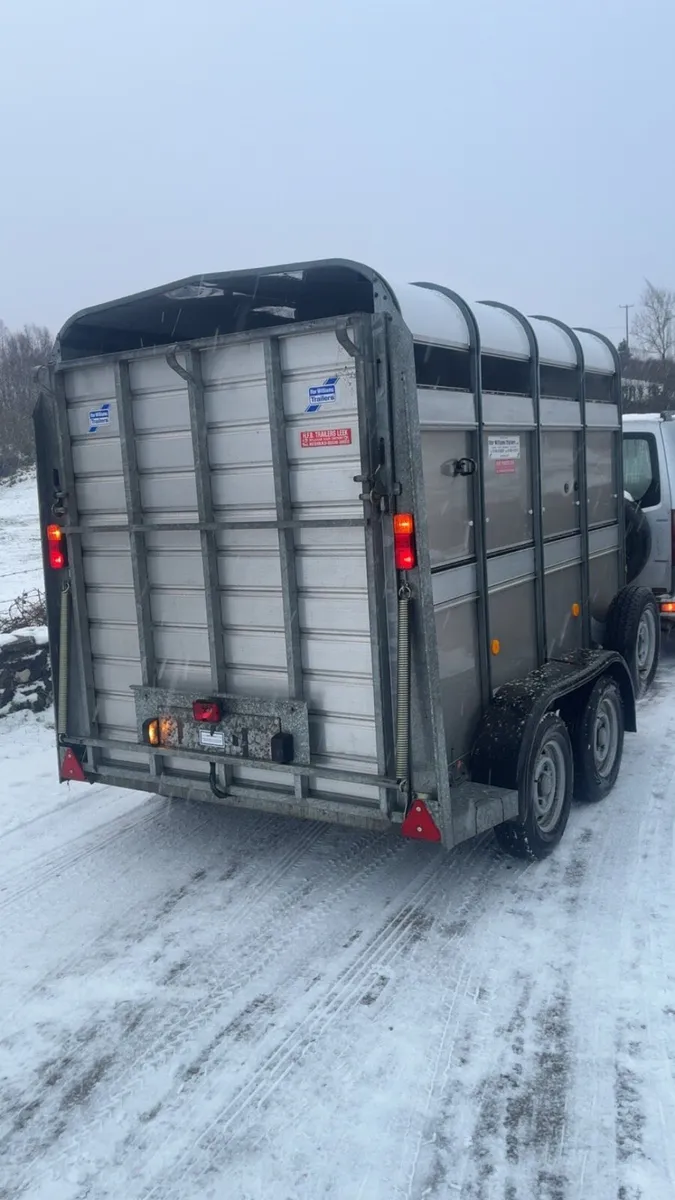 Ifor Williams cattle / pony trailer - Image 4