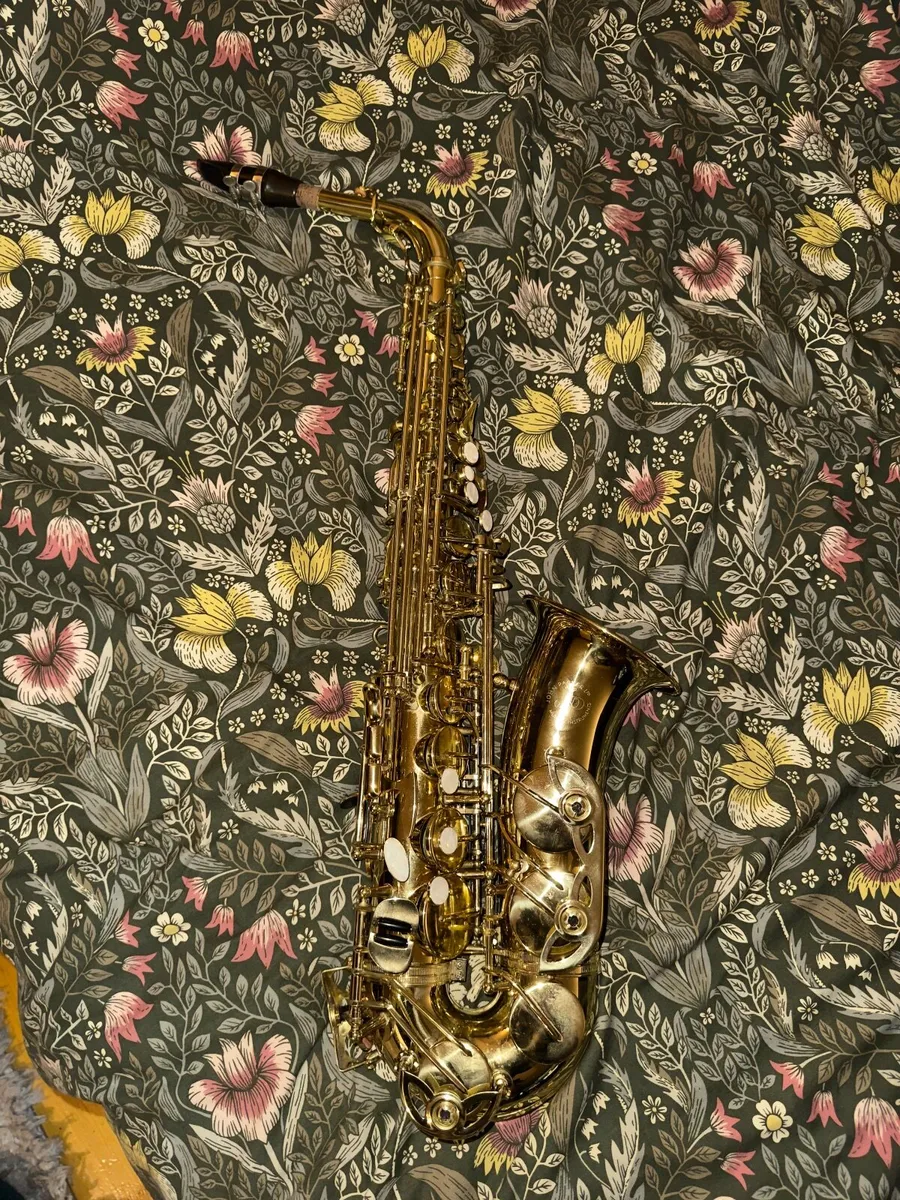 JP 041 John Packer Alto Sax & Selmer C* S80 M.P - Image 4
