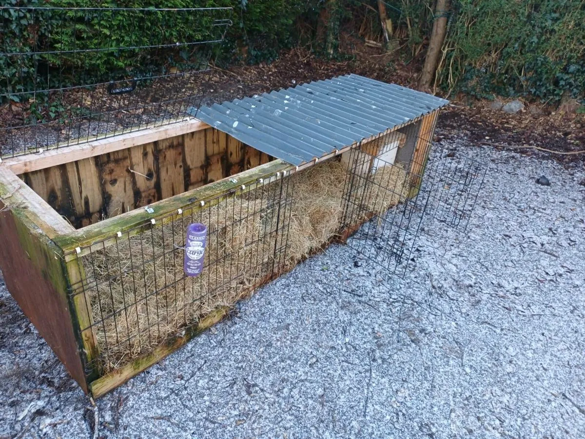 Rabbit hutch - Image 2