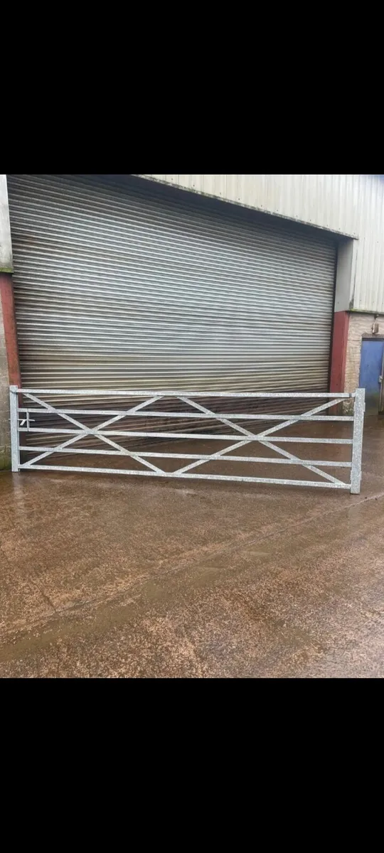 Galvanised gates - Image 4