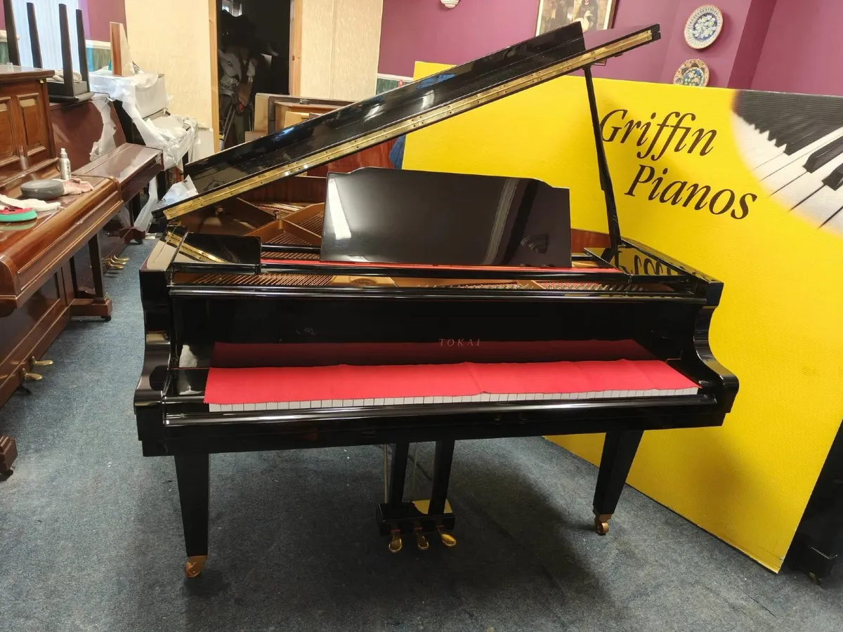 'As New' Concert Pitch Recital Standard - Image 2