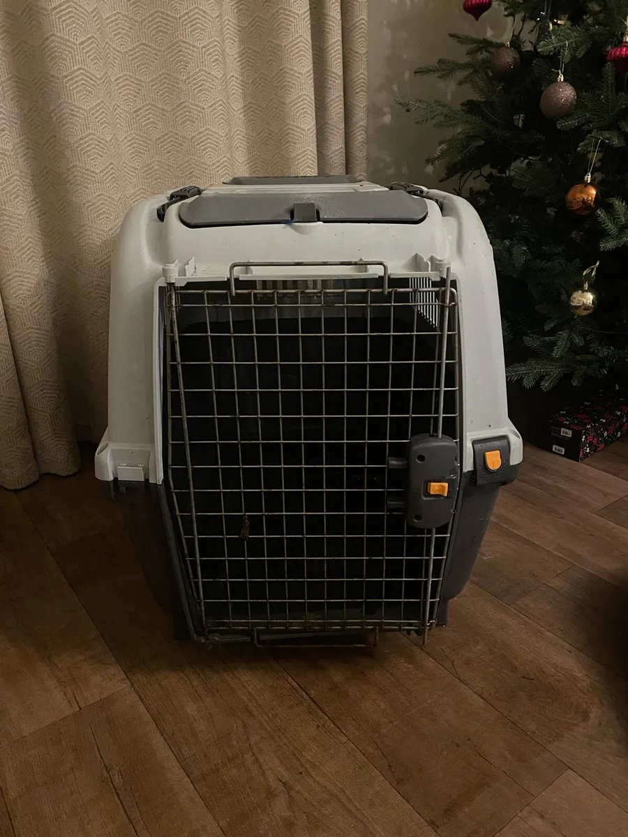 Dog Transport Box XL - Image 1