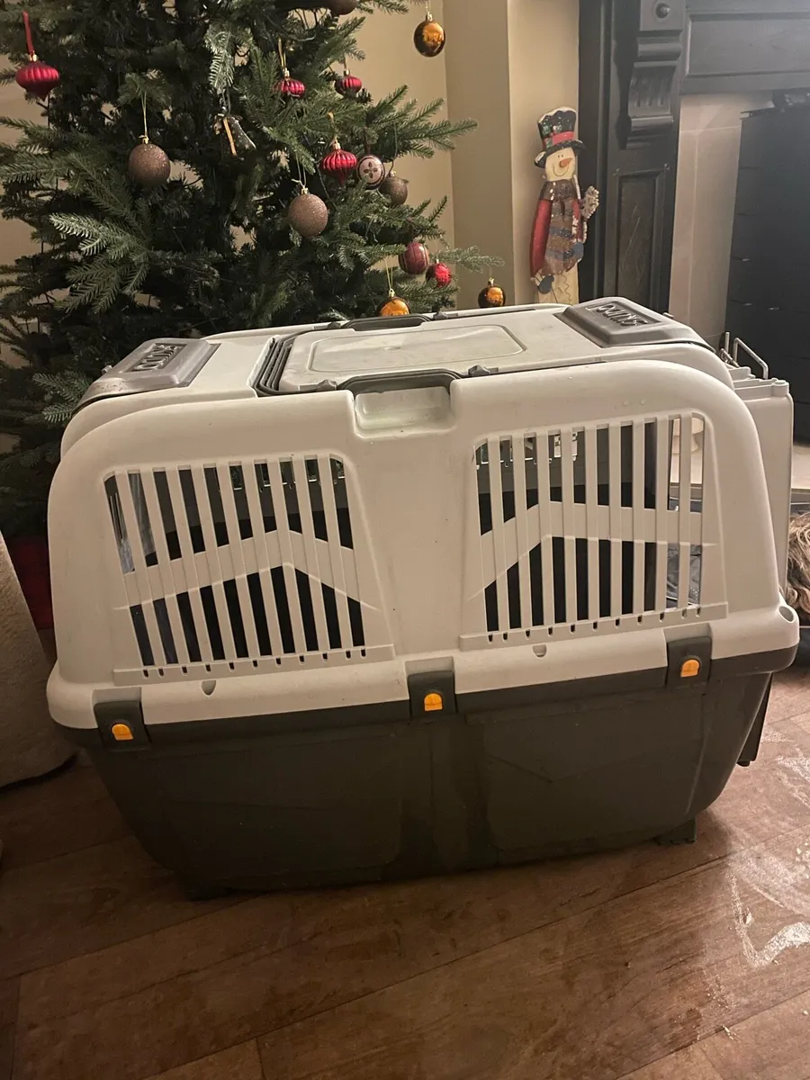 Dog Transport Box XL - Image 3