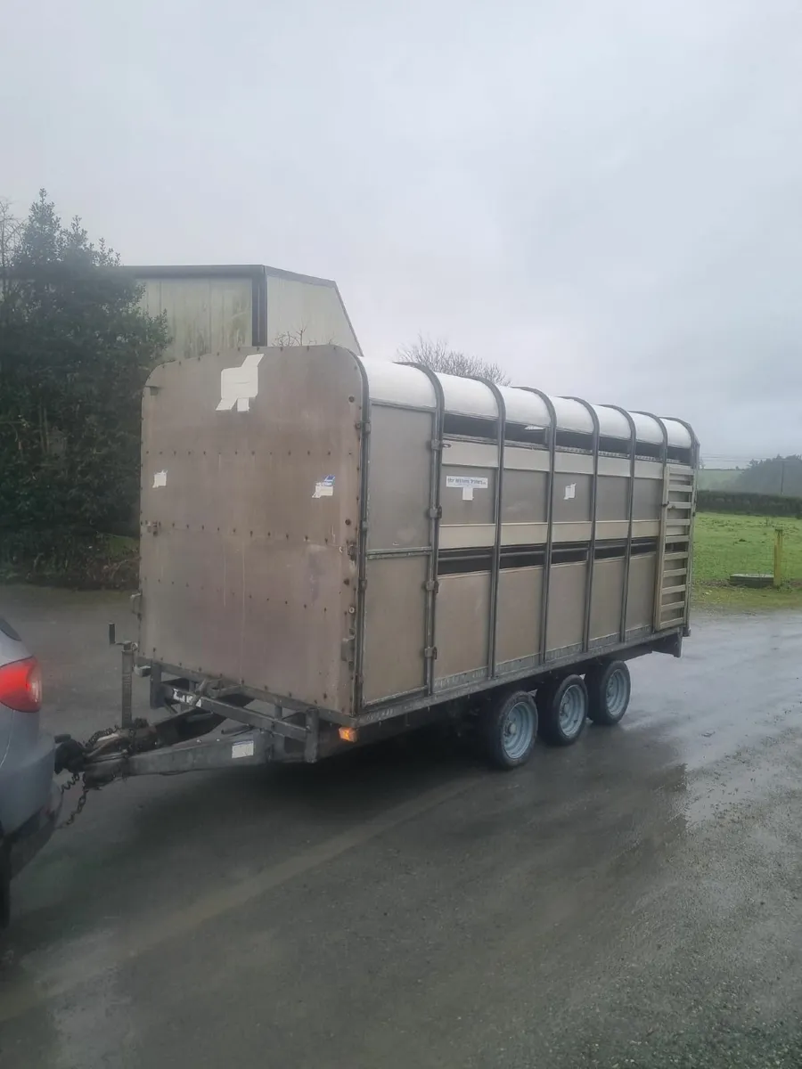 Cattle &sheep trailer - Image 1