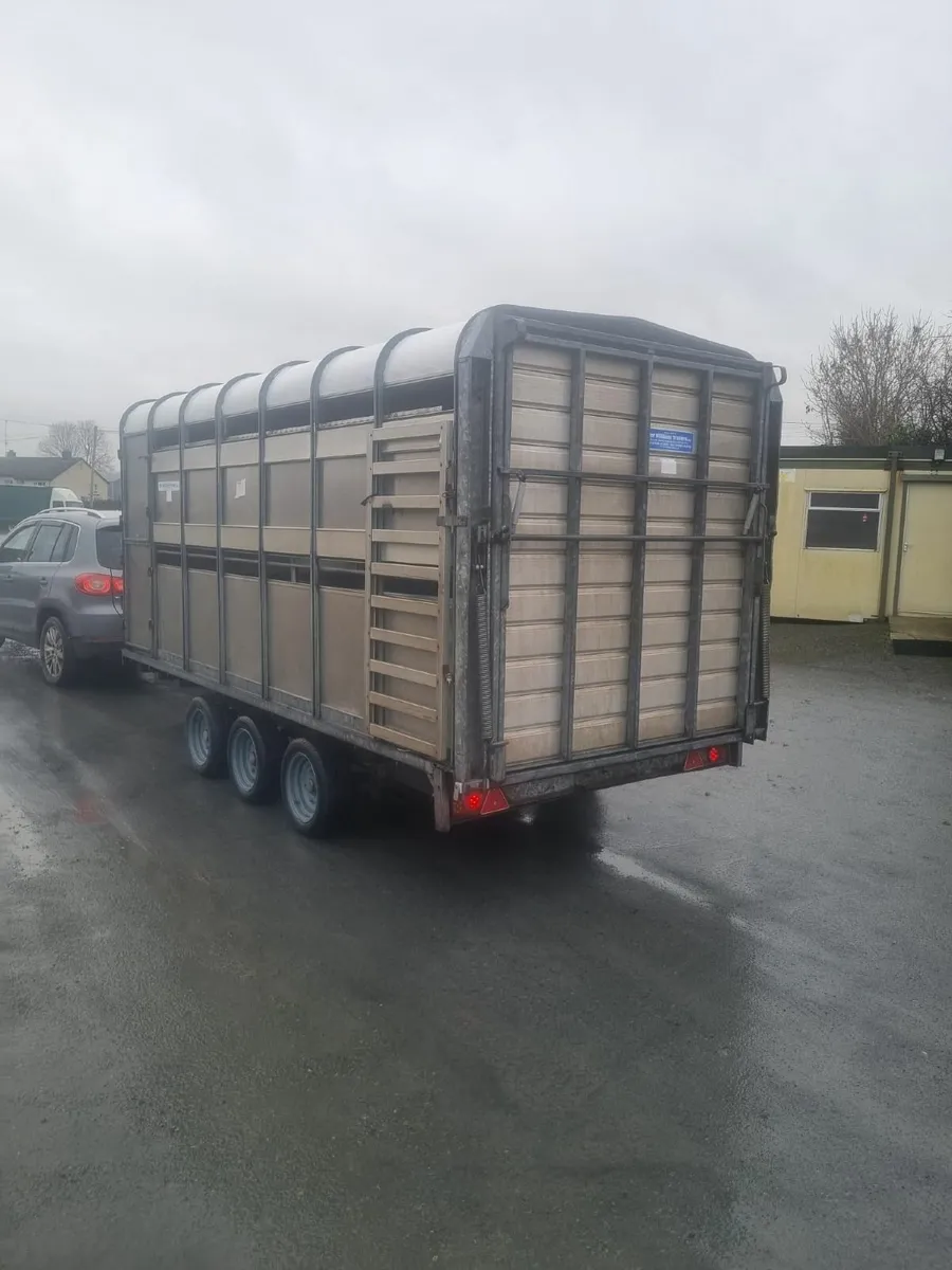 Cattle &sheep trailer - Image 2