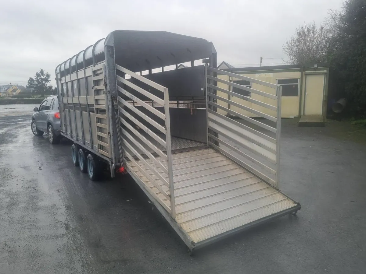Cattle &sheep trailer - Image 4