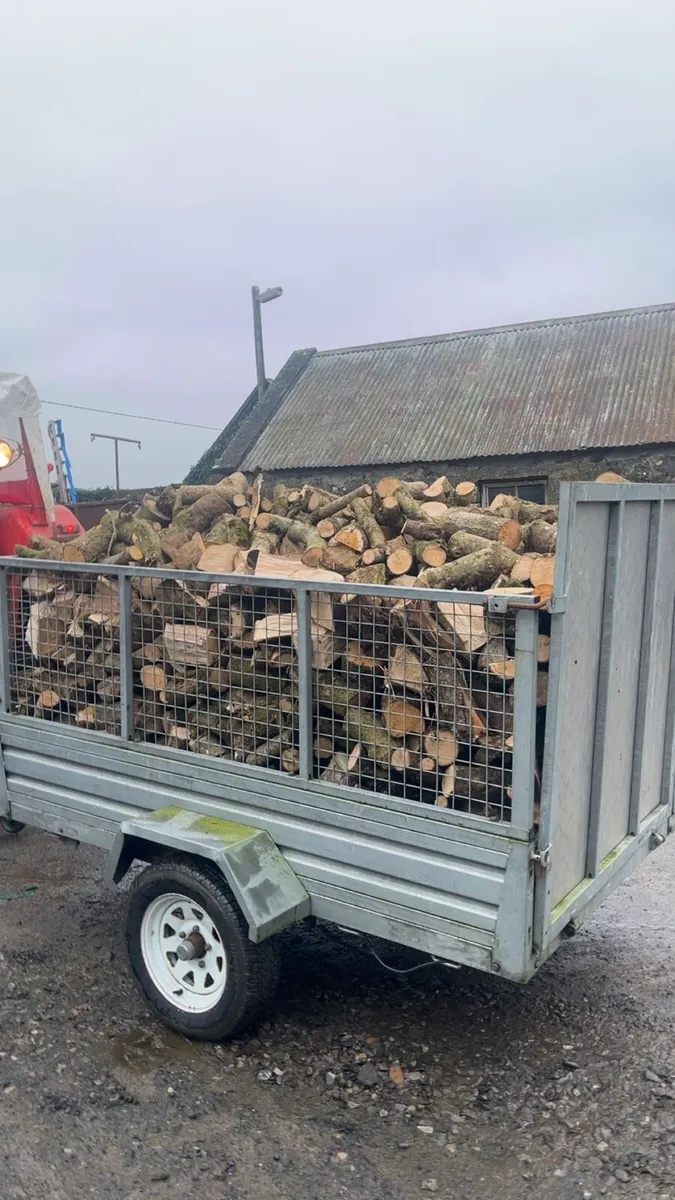 Firewood/timber - Image 2