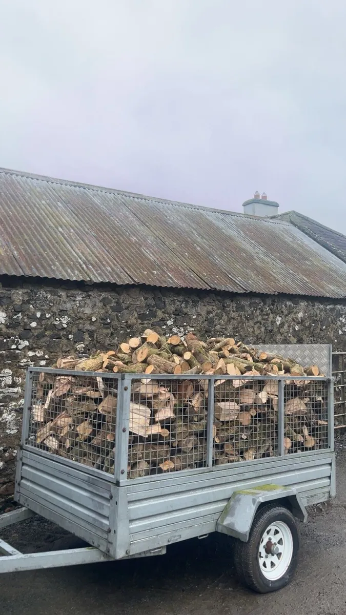Firewood/timber - Image 3