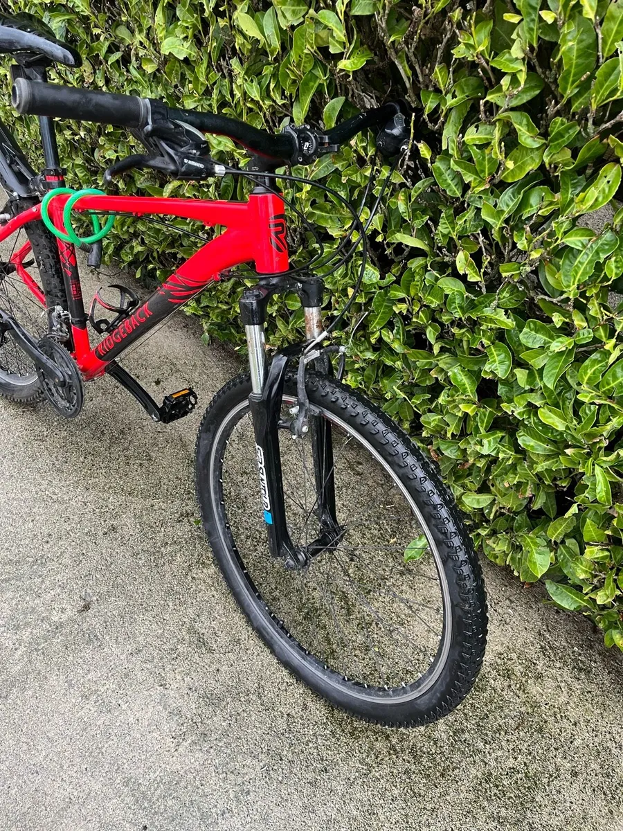 Ridgeback mountain Bike - Image 4