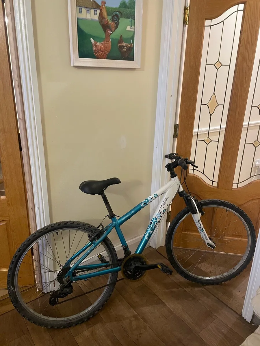 Girl’s bike - Image 1