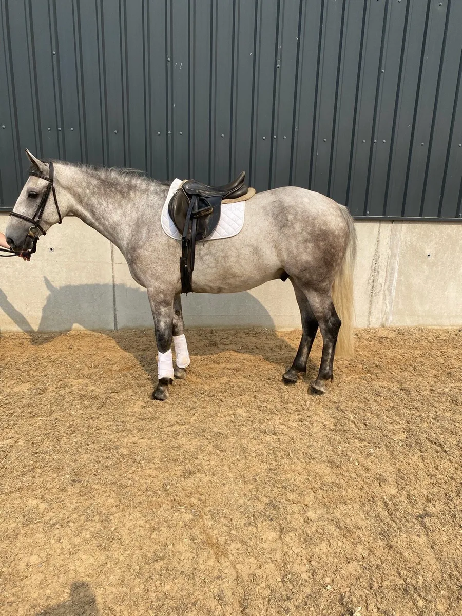 Super quiet 7 year old - Image 3