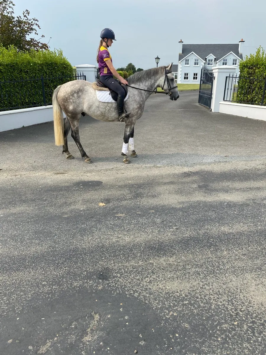 Super quiet 7 year old - Image 4