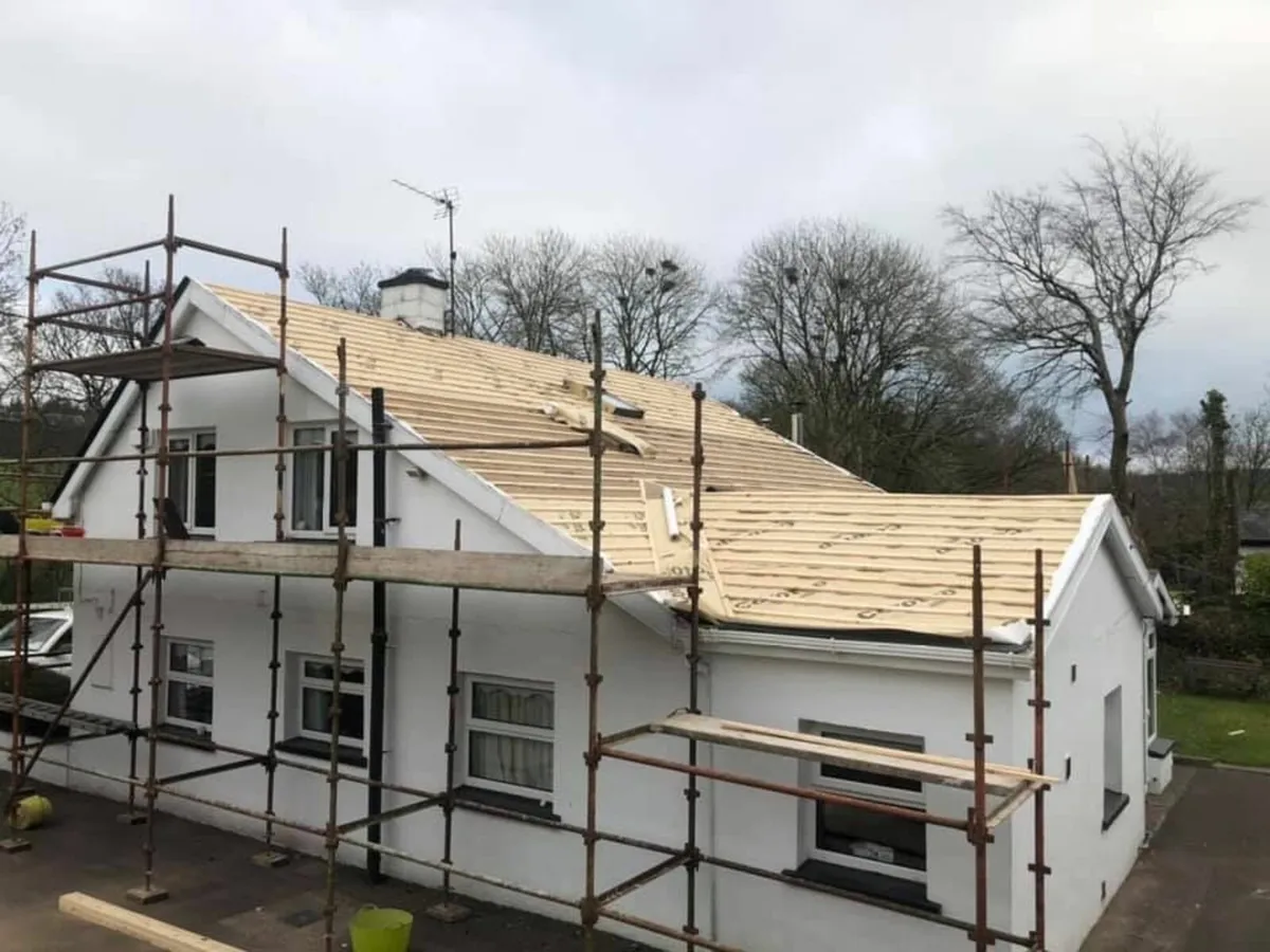 Roofing and Renovations - Image 4