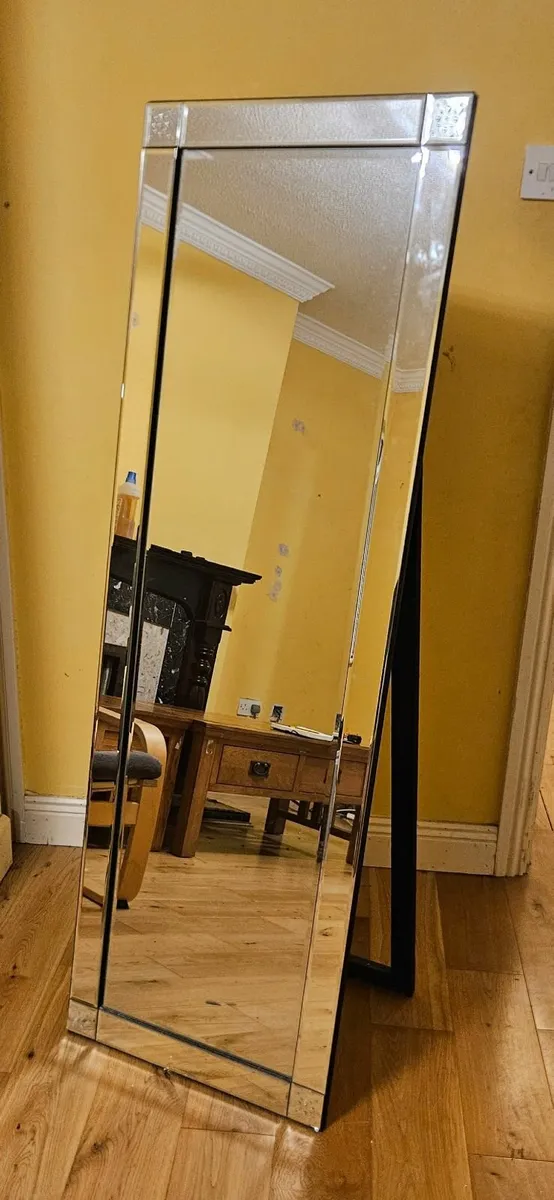 Full Length Standing/Hanging Mirror - Image 1